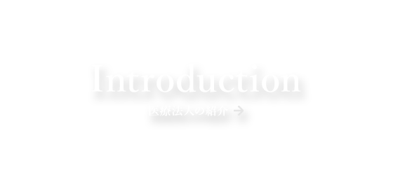 bnrhalf_introduction_ttl